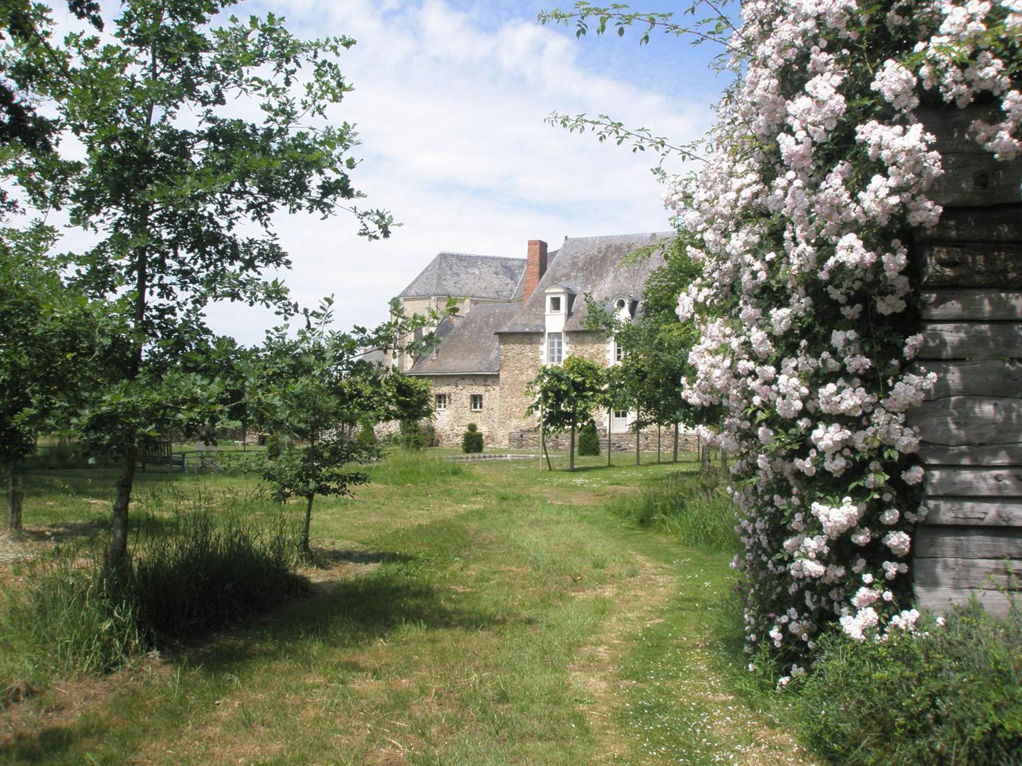 Bed and Breakfast Grange du Plessis Segré Exterior foto